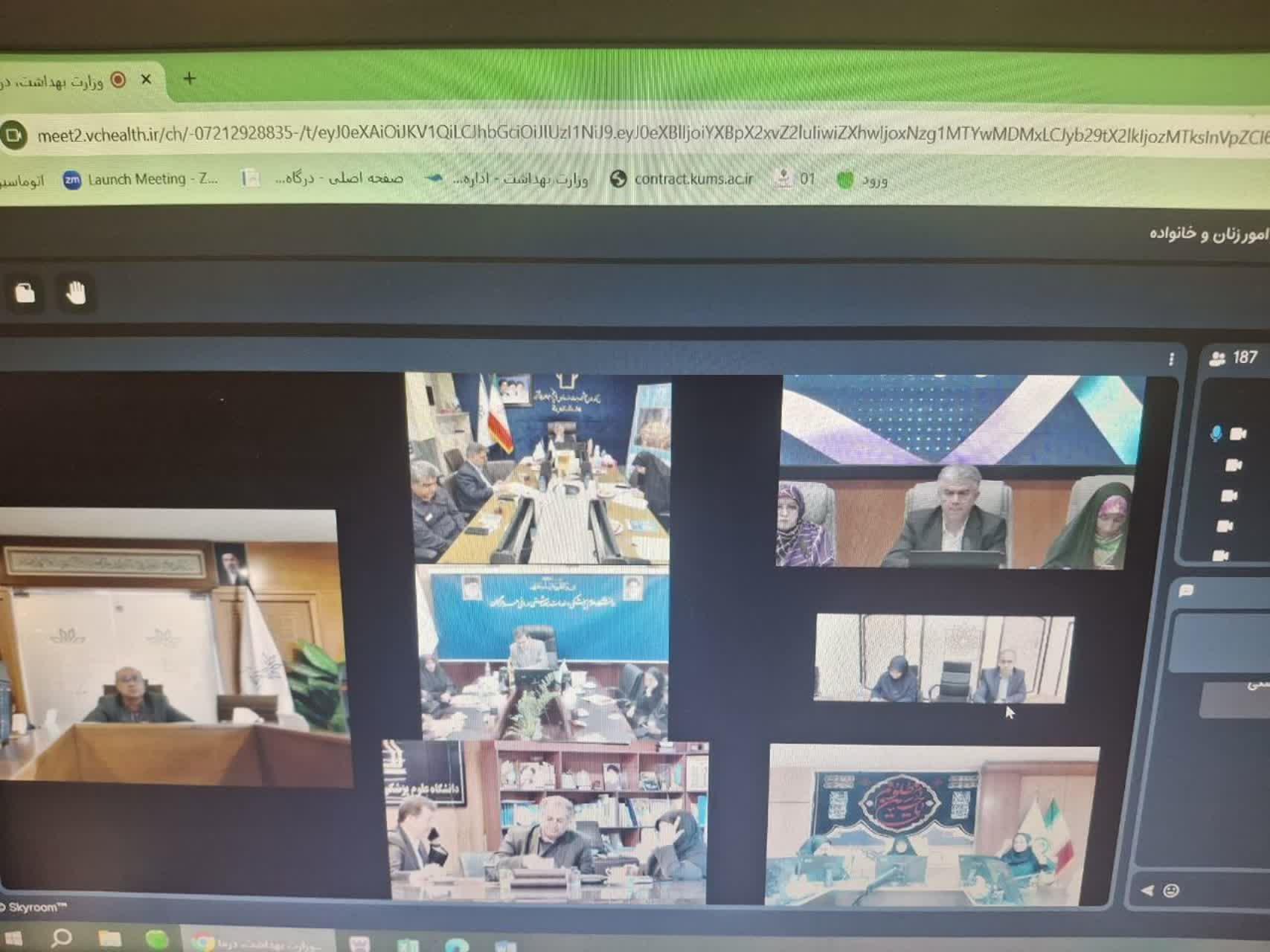 وبینار